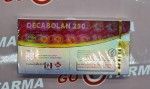 Canada Decabolan 250 мг/мл цена за 10амп купить в России