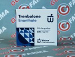 Watson new Trendolone Enanthate 250мг/мг цена за 10ампул купить в России